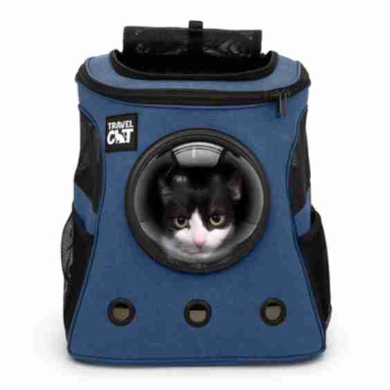 “The Fat Cat” Cat Backpack in Navy - For Larger Cats
