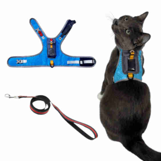 "The Pathfinder" Cat Harness & Tractive GPS Device Bundle
