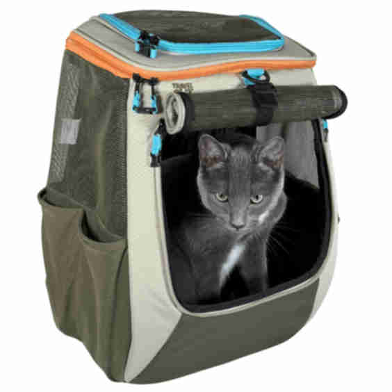 "The Navigator" Earth Convertible Cat Backpack - For Adventurous Cats and Humans