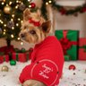 Posh Puppy Boutique