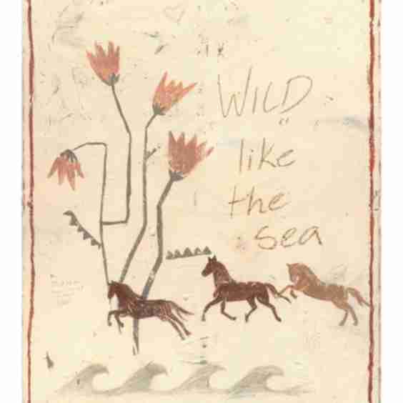 Wild Like The Sea