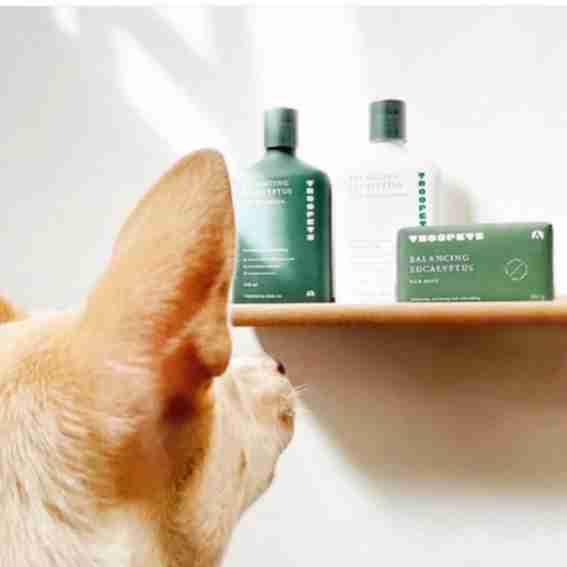 Troopets Reviews