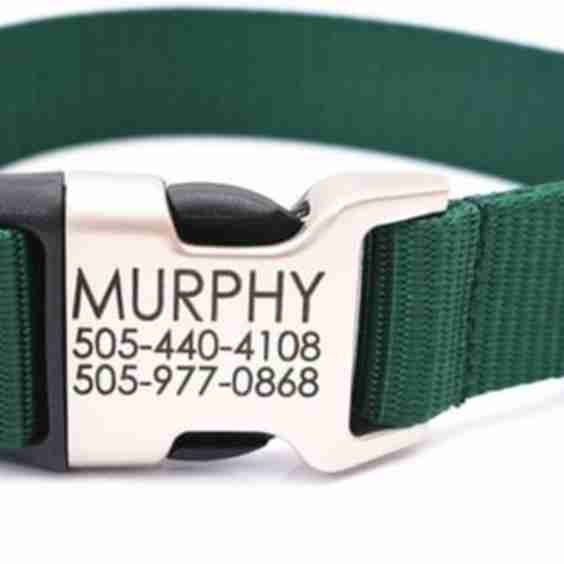 Personalized Nylon with Metal Hybrid Buckle Dog Collar
