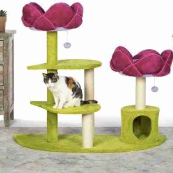 Catsplay Furniture Reviews