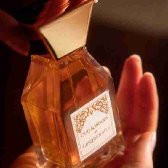 Lesquendieu Reviews
