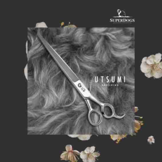 Utsumi America Reviews