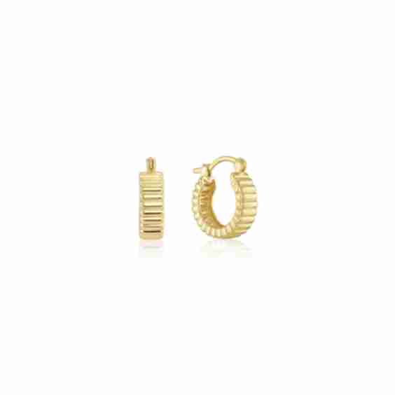 Jules Hoops