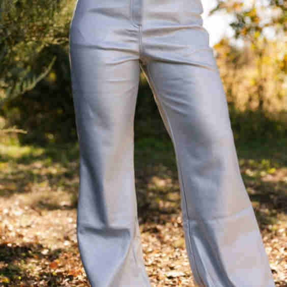 The Clara Leather Metallic Pant