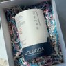 Dolboda