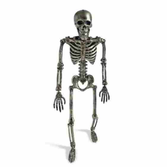 Gunmetal Tabletop Skeleton