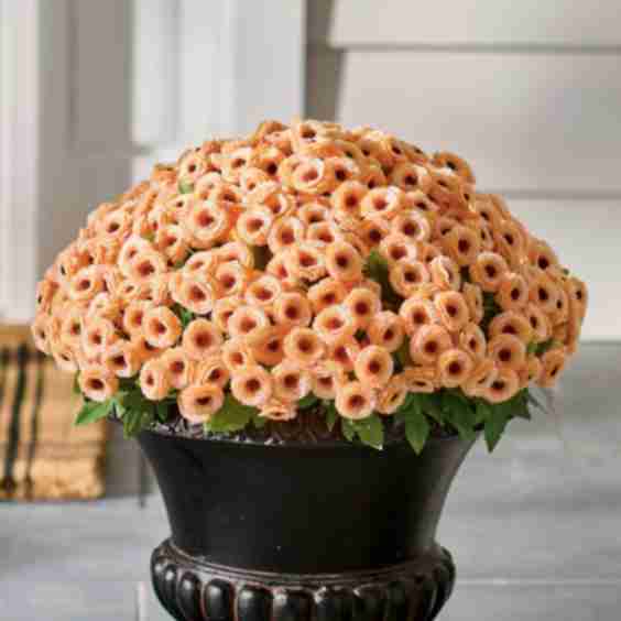Mum Urn Filler