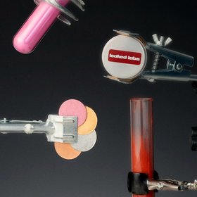Leaked Labs