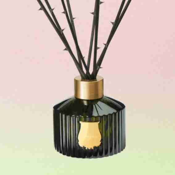 Trudon Reviews