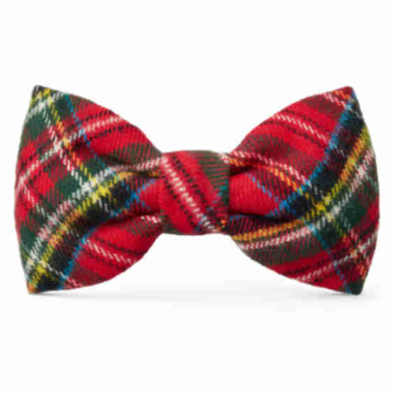 Dog Bow Tie