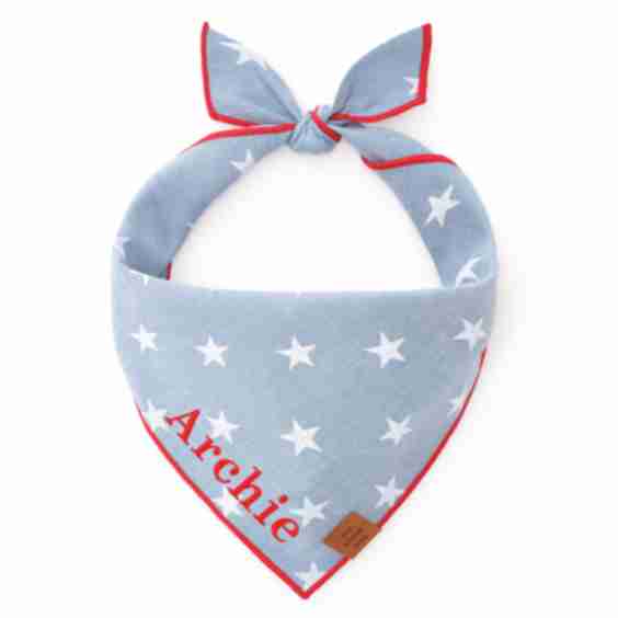 Liberty Dog Bandana