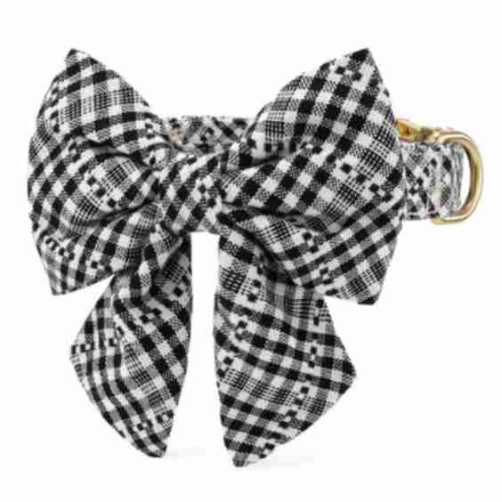 Lady Bow Collar