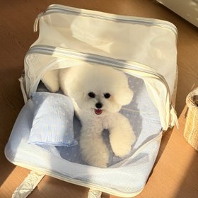 Dolly Pet
