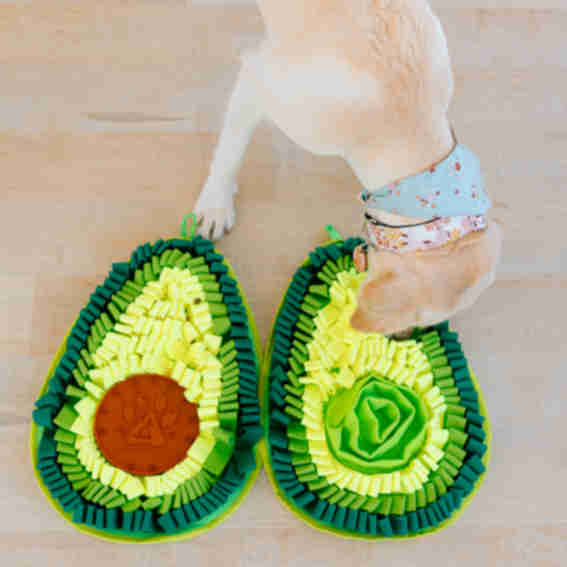 PawzNDogz Reviews