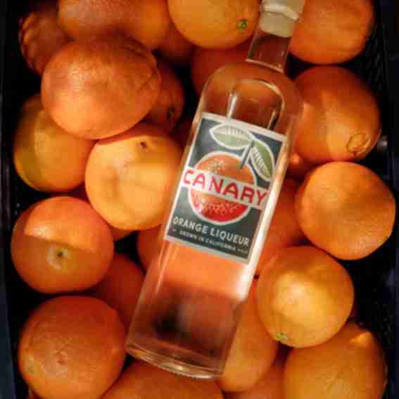 Canary Natural Spirits Reviews