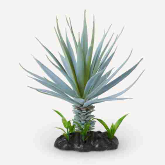 Blue Agave Plant Reptile Aquarium Decor