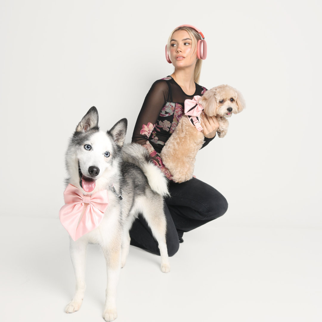 About FURRY MUSE Thingtesting