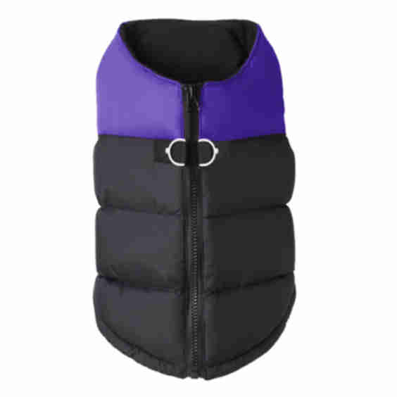 Padded Dog Vest