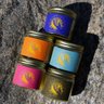 Olive Odyssey