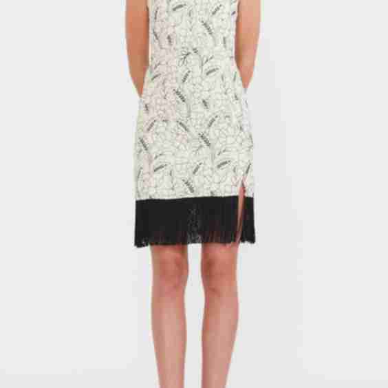 Avery Embroidered Fringe Mini Dress