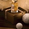 Argos Fragrances