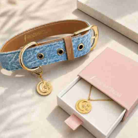 FRIENDSHIPCOLLAR Reviews