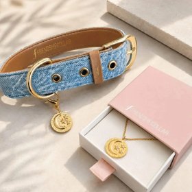 FRIENDSHIPCOLLAR
