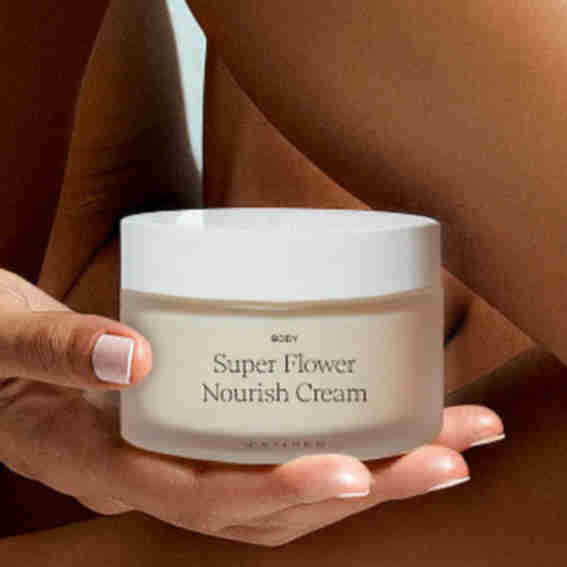 Ficus Reviews