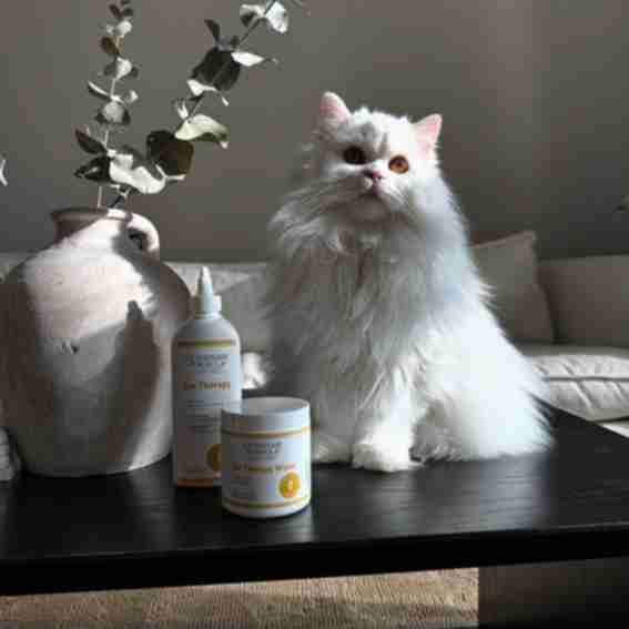  Veterinary Formula Reviews