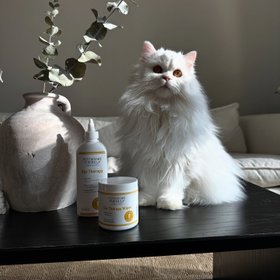 Veterinary Formula