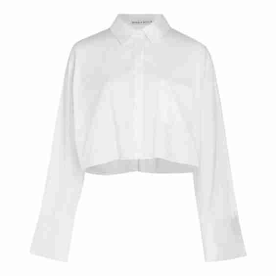 Finely Cropped Button Down