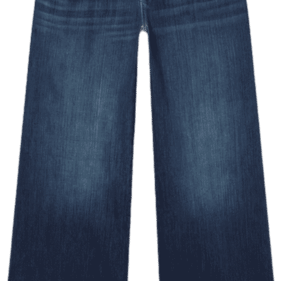 Festi Baggy Low Rise Wide Leg Jean