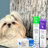 The Canine Project
