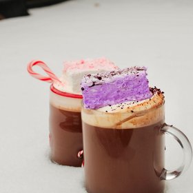 Cream + Sugar