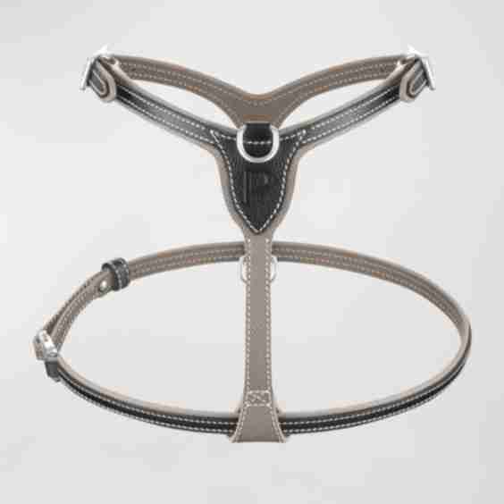 Petite Leather Dog Harness