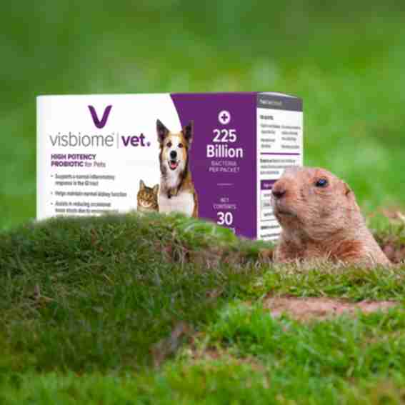 Visbiome Vet Reviews