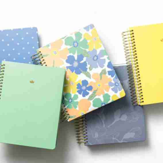 Sprouted Planner Reviews