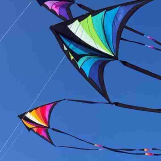 Prism Designs, Inc. Reviews