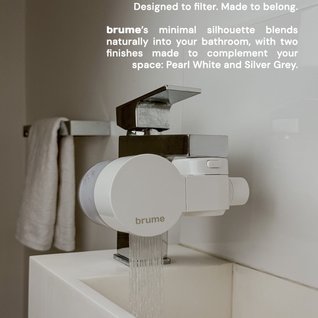 Brumefilter