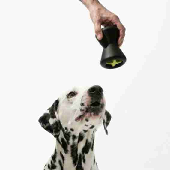 Barkus Reviews