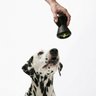 Barkus