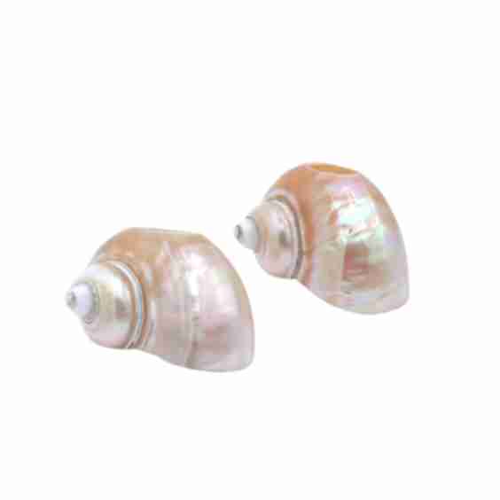 Seashell Napkin Rings, Set of 4