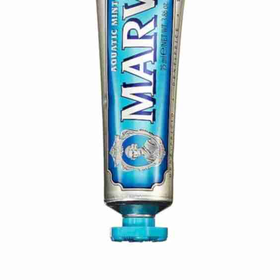 Aquatic Mint