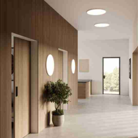DALS Lighting Reviews