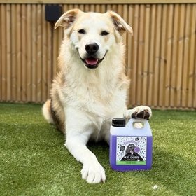 Bugalugs Pet Care