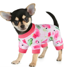 Paw Print Pad